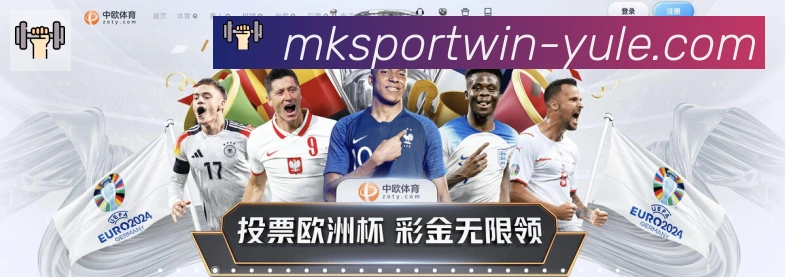 登录器